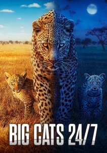 Большие кошки днём и ночью, Сезон 2